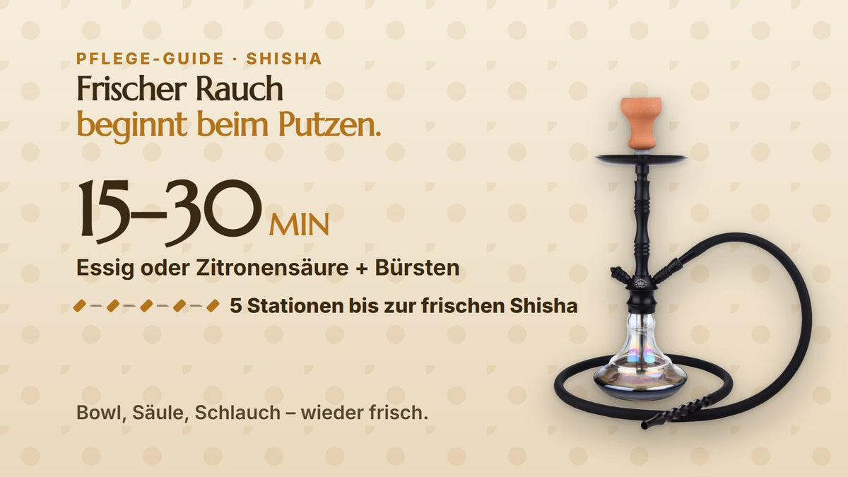 Shisha reinigen: Pflege-Guide mit Al Malik Wasserpfeife, Essig oder Zitronensäure und Bürsten, 15–30 Minuten, 5 Schritte | Rauchwerk Ratgeber