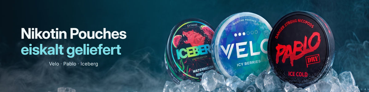 Snus & Nikotinbeutel online kaufen Schweiz – Velo, Pablo, Iceberg bei Rauchwerk.ch