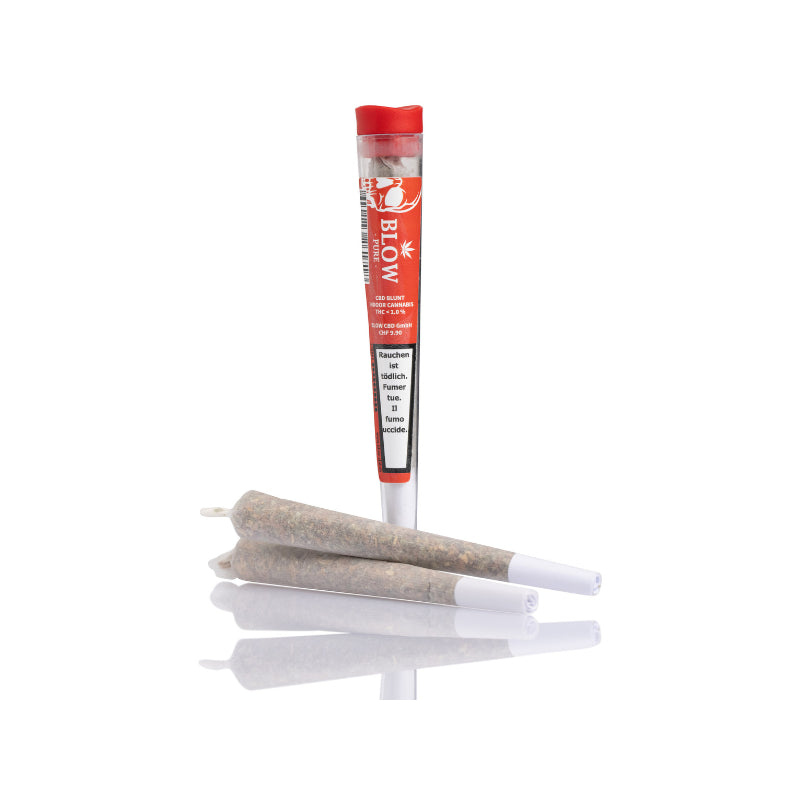 Blow Pure Cheese Red – 20 CBD-Joints (Pre-Rolls)