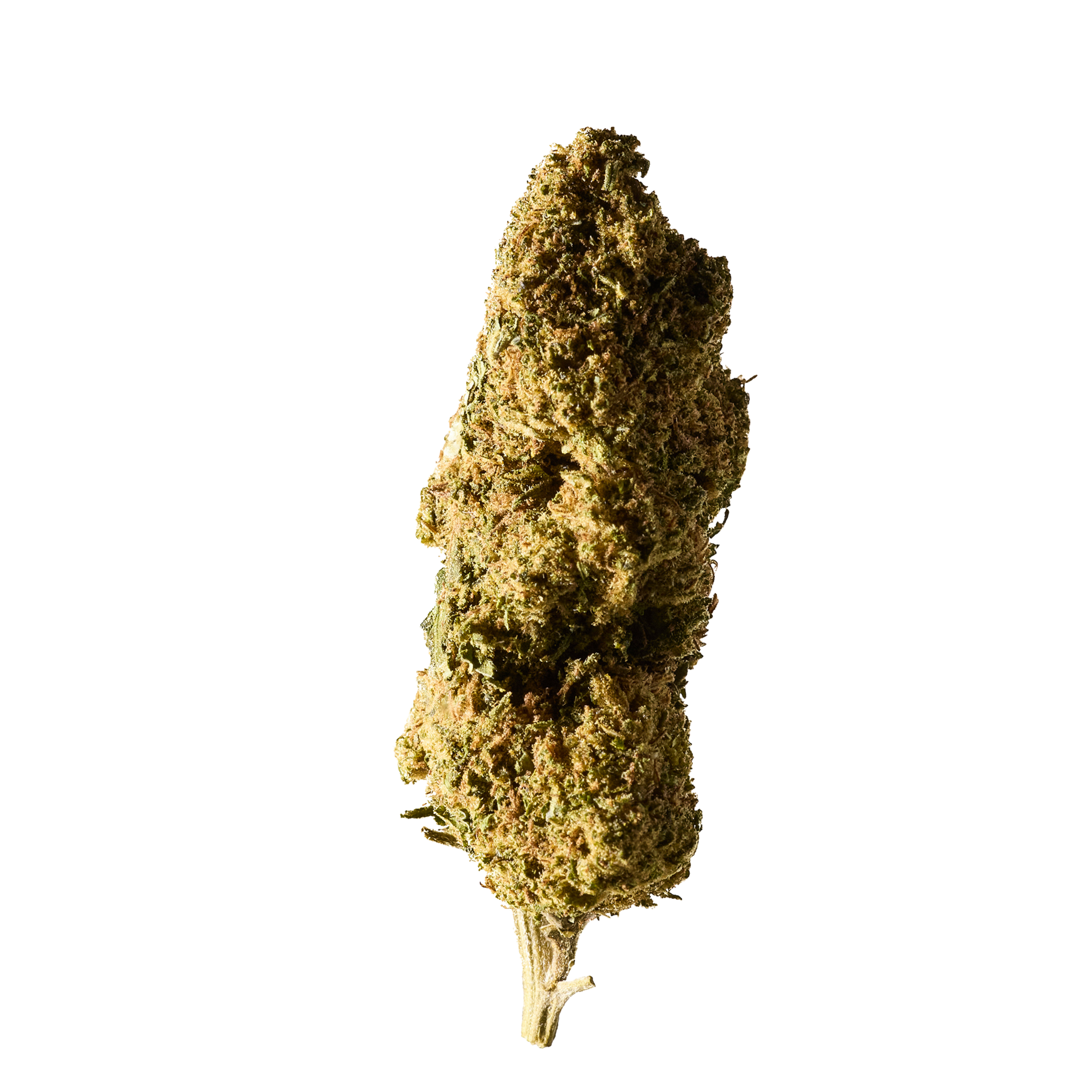 Herba di Berna - Oudoor CBD Blüten - Cannatonic - 45g