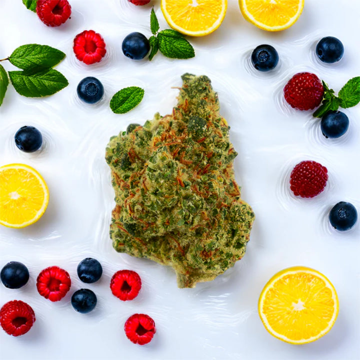 Green Passion Fruit Punch Popcorn – CBD-Blüten, 10 g