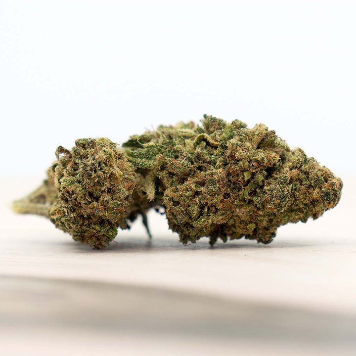 Herba di Berna Cannatonic Indoor – CBD-Blüten, 11 g, Ansicht 2