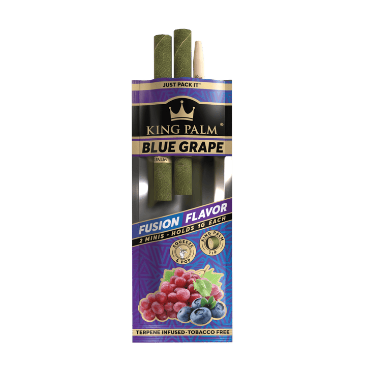 King Palm Mini Blue Grape 2er-Pack schräg aufgenommen