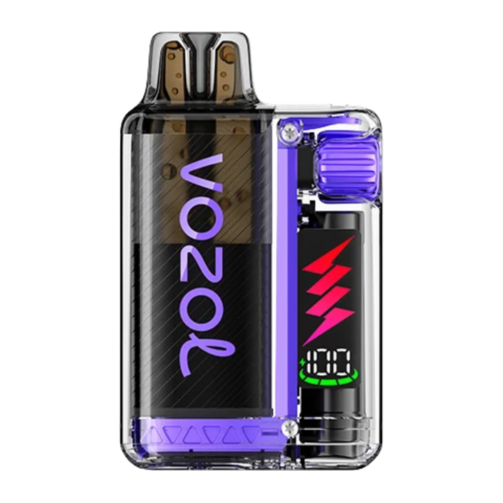 VOZOL Vista Plug Starter Kit Grape Ice 20mg mit Verpackung