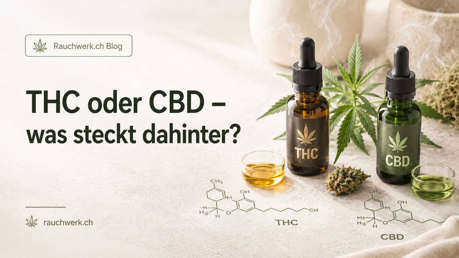 THC oder CBD – was steckt dahinter?