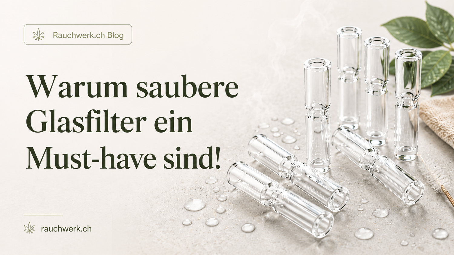 Warum saubere Glasfilter ein Must-have sind!