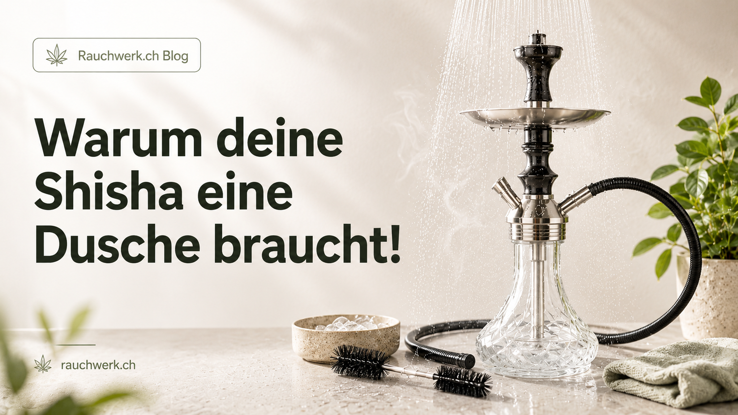 Warum deine Shisha eine Dusche braucht!