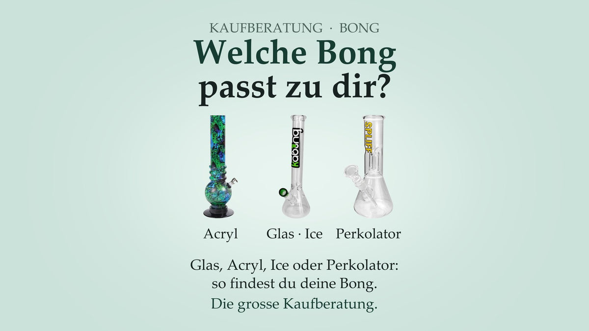 Bong kaufen: Acrylbong, Glasbong mit Eisdornen und Perkolator-Bong im Vergleich – Kaufberatung von Rauchwerk