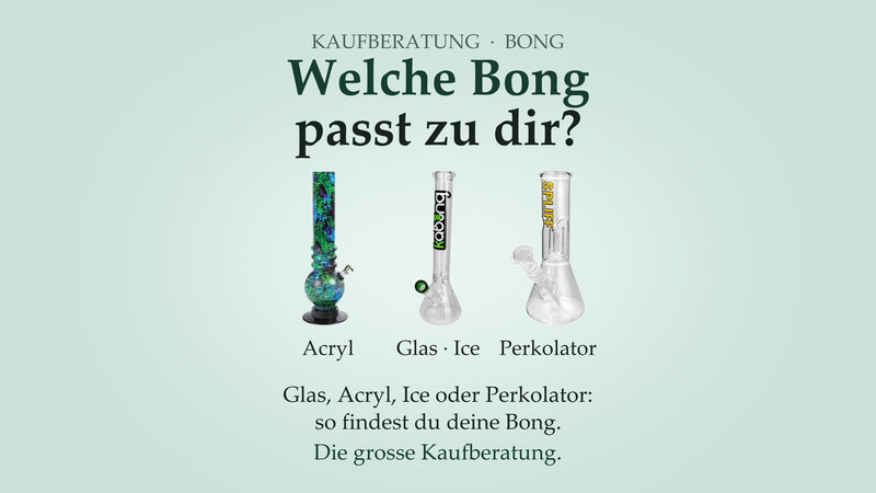 Bong kaufen: Acrylbong, Glasbong mit Eisdornen und Perkolator-Bong im Vergleich – Kaufberatung von Rauchwerk