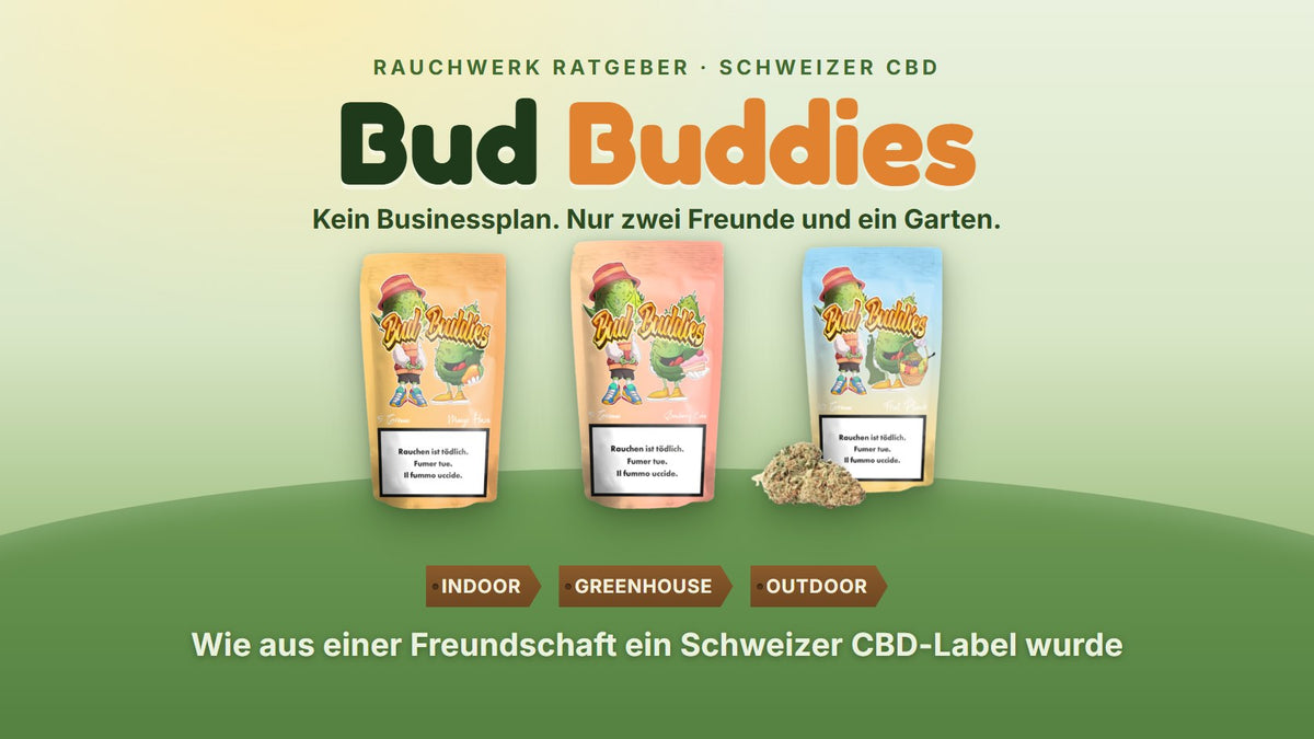 Bud Buddies CBD Blüten Schweiz – Mango Haze, Strawberry Cake und Fruit Punch Beutel auf der Wiese | Rauchwerk Ratgeber
