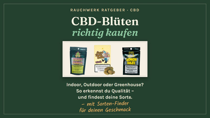 CBD-Blüten Kaufguide: drei Blüten-Packungen von BudBouncy und Weedx auf Journal-Etikett, dunkelgrüner Grund