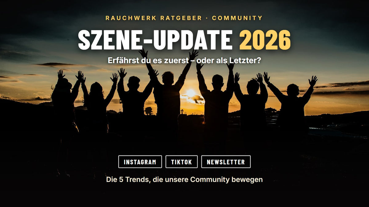 Rauchwerk Community Szene-Update 2026: Freundesgruppe mit erhobenen Armen im Sonnenuntergang – gemeinsam statt allein, die 5 Trends des Jahres | Rauchwerk Ratgeber