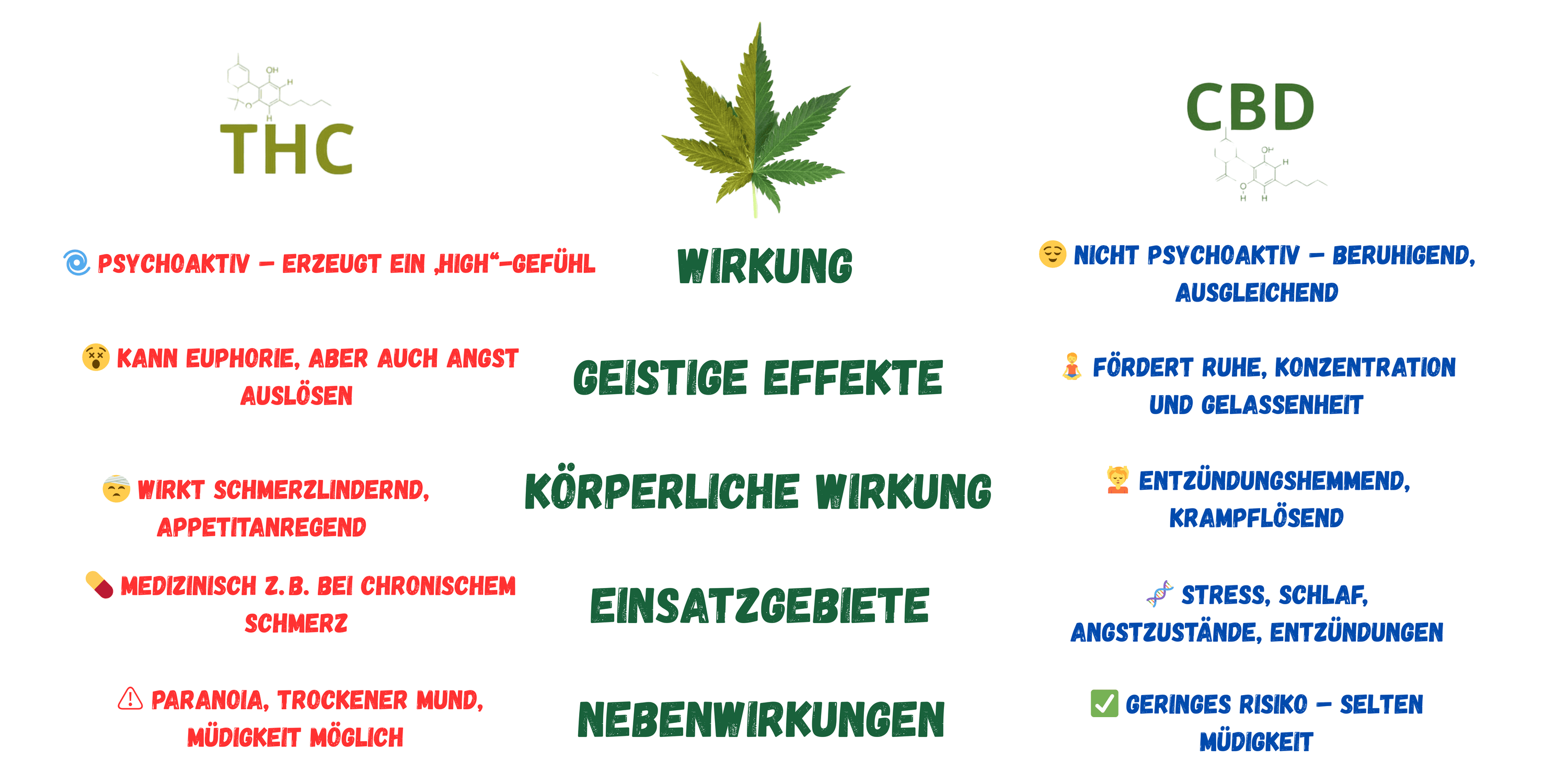 THC oder CBD? So findest du das Richtige für dich - rauchwerk.ch