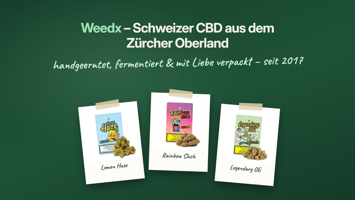 Weedx Schweizer CBD Blüten aus dem Zürcher Oberland – Lemon Haze, Rainbow Slush und Legendary OG