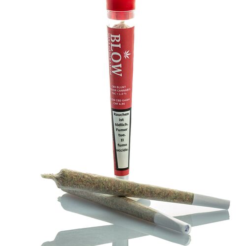 Blow Strong Haze Red – CBD-Pre-Rolls, 20 Joints