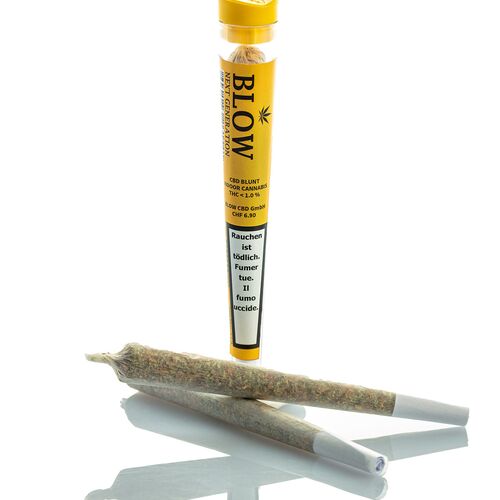 Blow Sweet Haze Yellow – 20 CBD-Joints (Pre-Rolls)