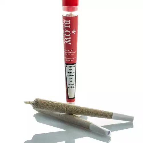 Blow - Joint Next Generation - CHEESE kaufen bei rauchwerk.ch