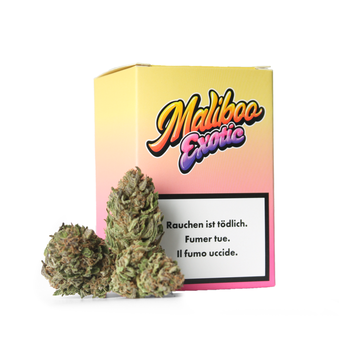 Bud Buddies Maliboo Exotic CBD Outdoor Blüten 5g