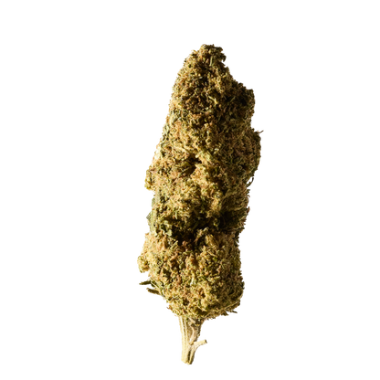 Herba di Berna - Oudoor CBD Blüten - Cannatonic - 45g