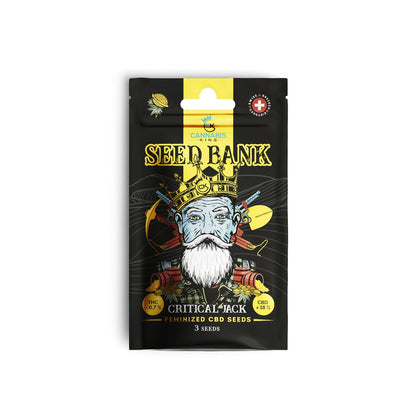 CK Seed Bank Critical Jack CBD Samen 3 Stück