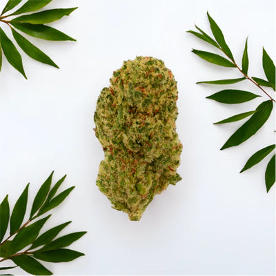 Green Passion Maui Wowy Popcorn – CBD-Blüten, 10 g