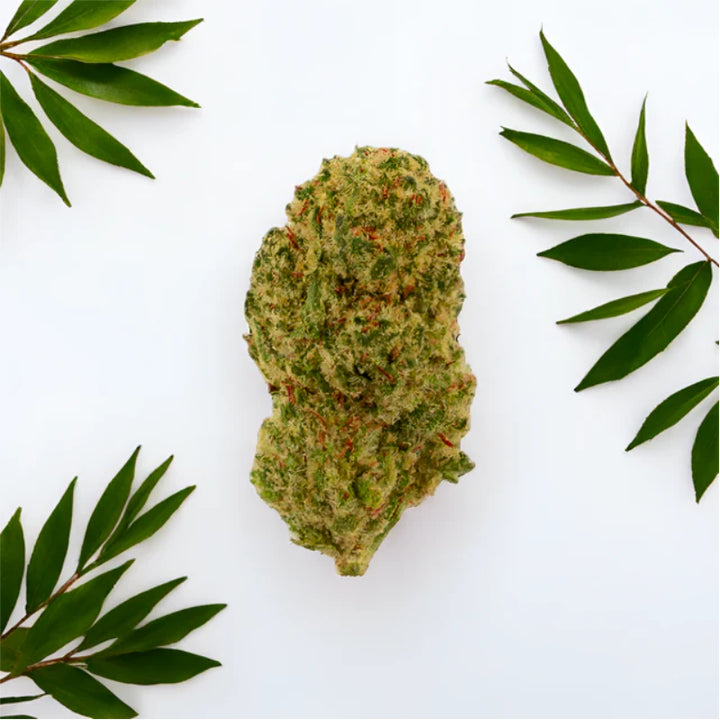 Green Passion Maui Wowy Popcorn – CBD-Blüten, 10 g