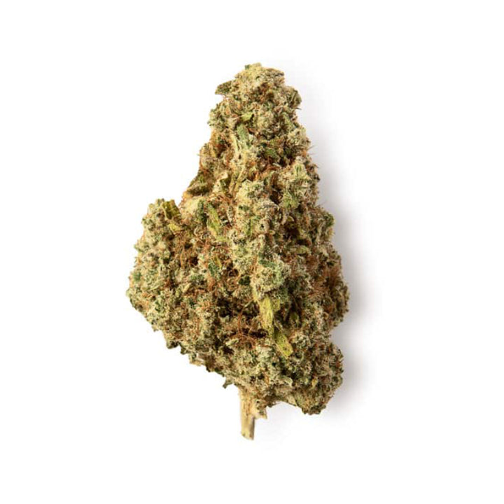 Green Passion Orange Passion Indoor CBD-Blüten, 2 g