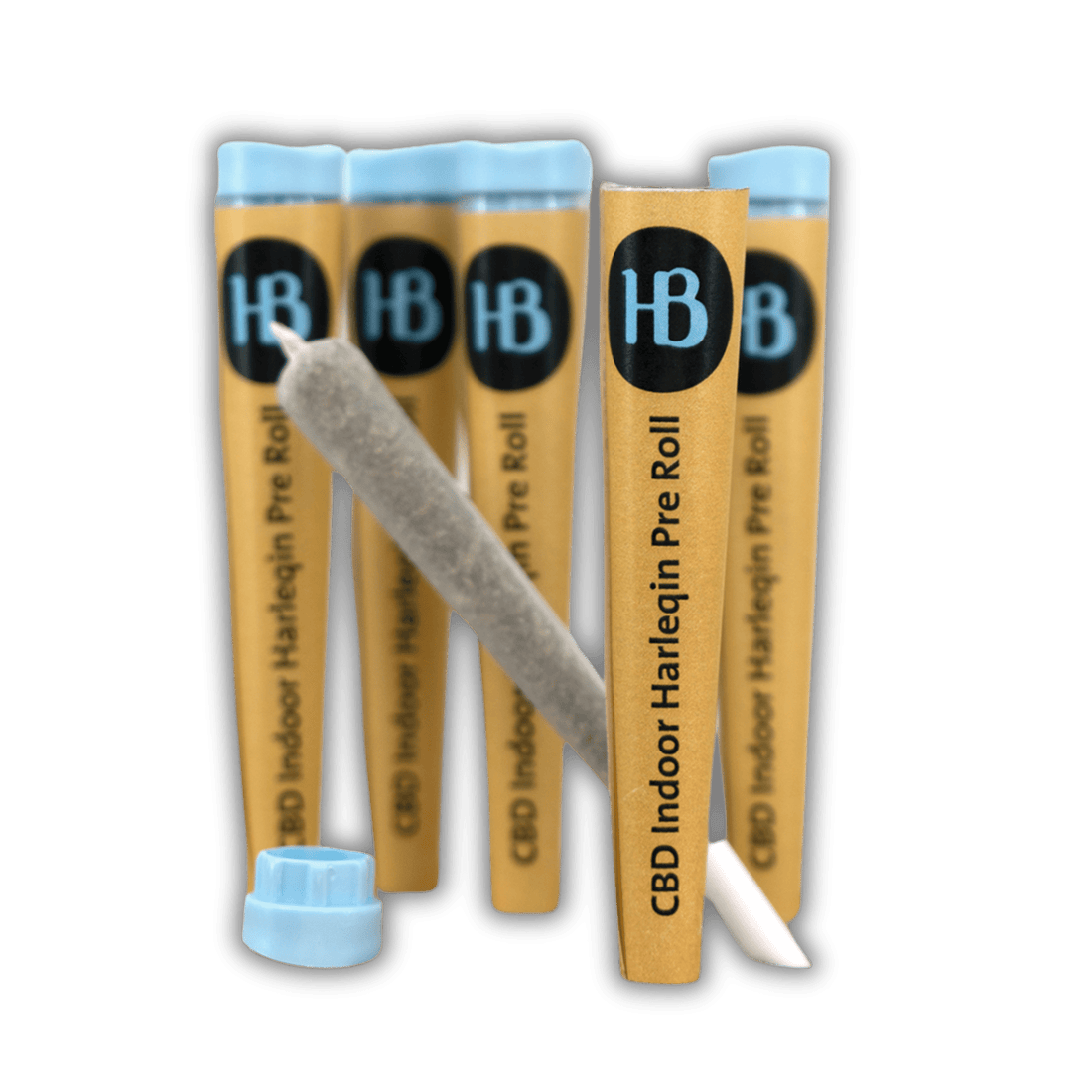Herba di Berna - Indoor CBD Pre - Rolled Joint - Harlequin - 1 Stück kaufen bei rauchwerk.ch