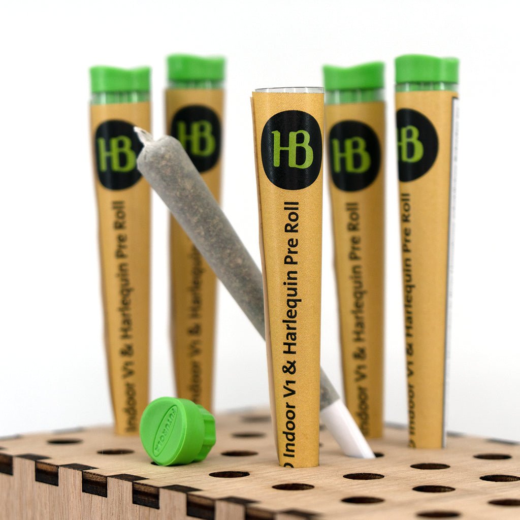 Herba di Berna - Indoor CBD Pre - Rolled Joint - V1 &amp; Harlequin - 1 Stück kaufen bei rauchwerk.ch