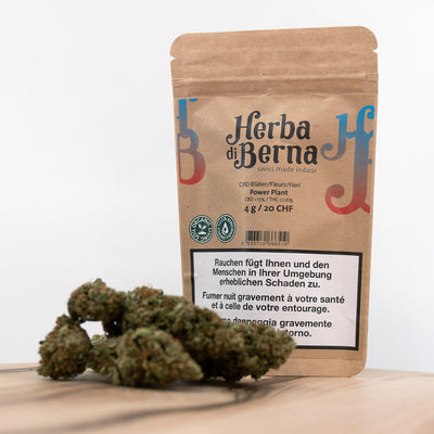 Herba di Berna Power Plant Indoor – CBD-Blüten, 4 g, Ansicht 1