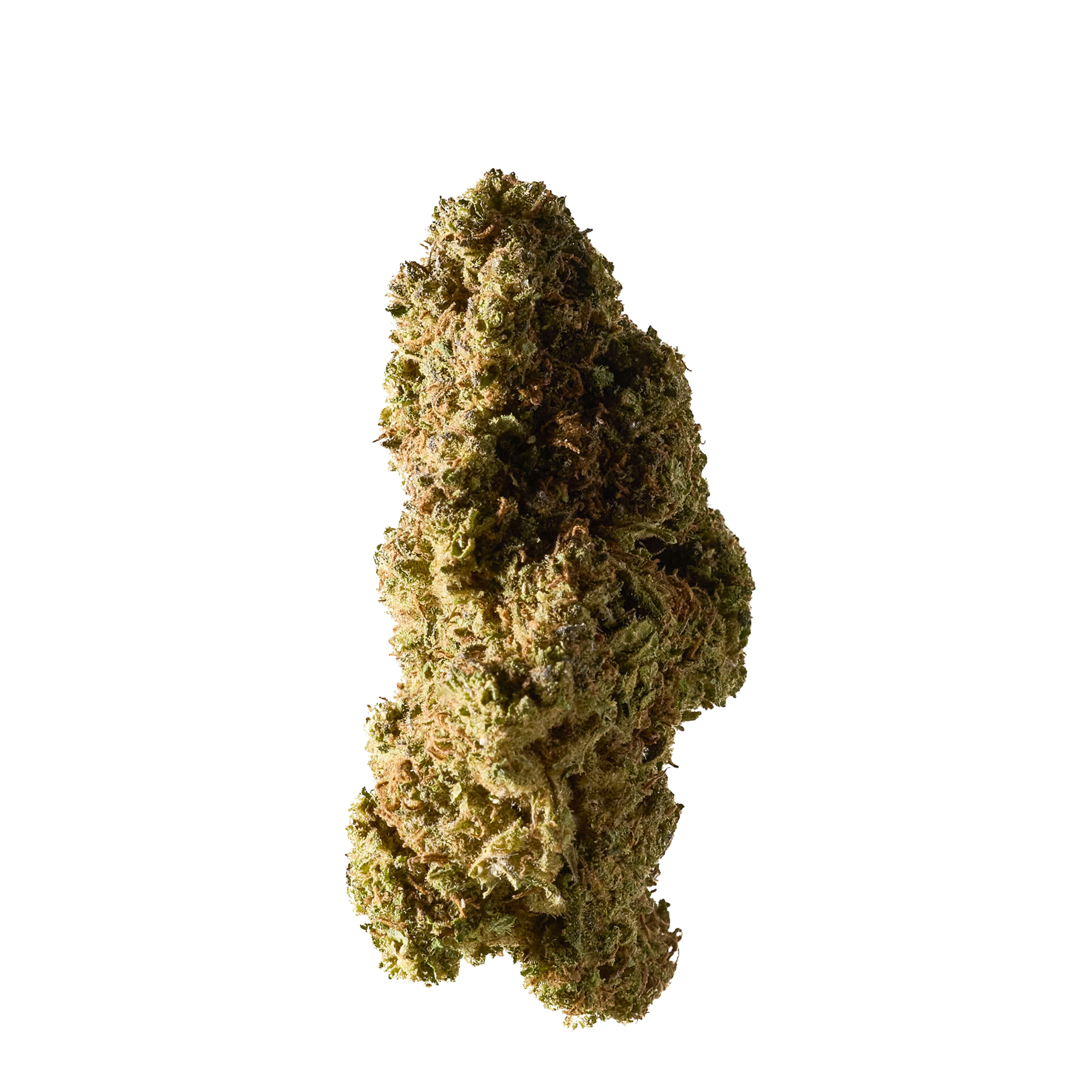 Detailansicht Strawberry Outdoor CBD Blüten von Herba di Berna