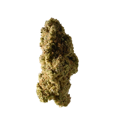 Detailansicht Strawberry Outdoor CBD Blüten von Herba di Berna
