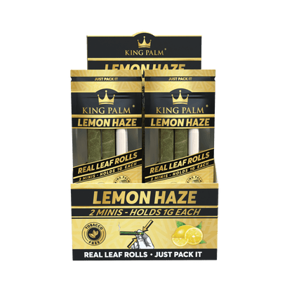King Palm Mini Lemon Haze Display mit 20 Packungen