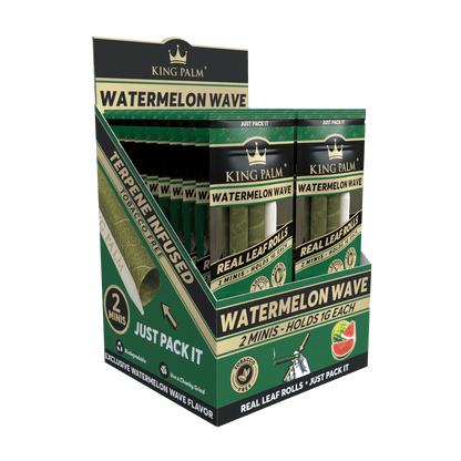 King Palm Mini Watermelon Wave 2er-Pack schräg aufgenommen