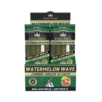 King Palm - Mini - Watermelon Wave kaufen bei rauchwerk.ch