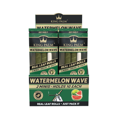 King Palm Watermelon Wave Display mit 20 Packungen