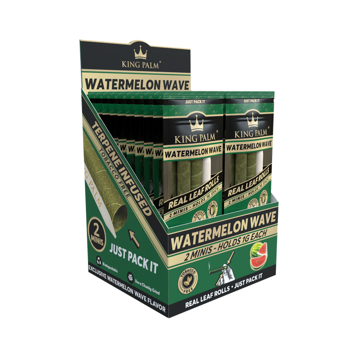 King Palm Mini Watermelon Wave 2er-Pack schräg aufgenommen