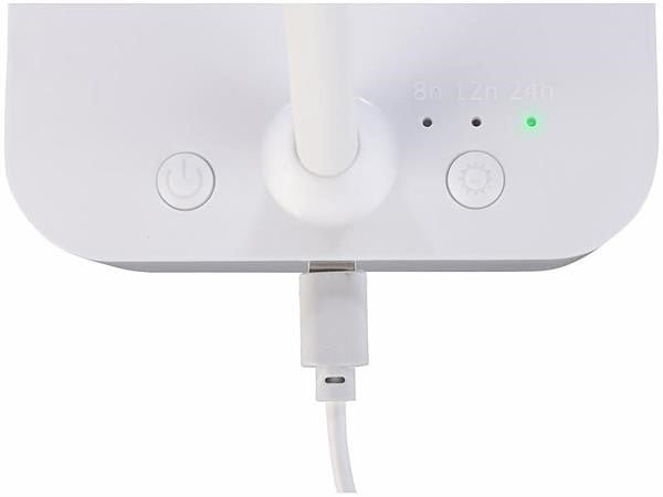 Mini Gewächshaus mit LED-Licht, Anzucht von Kräutern und Samen