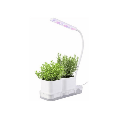 Mini Gewächshaus mit LED-Lampe für Pflanzenanzucht
