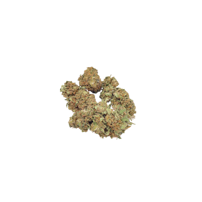 Wild Wild Weed Billy The Weed Jack Herrer – CBD-Blüten, 10 g