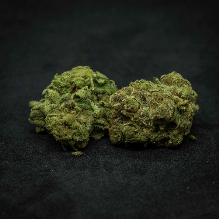 Zauber Blüten Turicum Fortis CBD-Blüten, 2 g